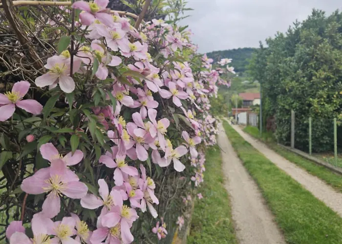 Bagameri Vendeghaz Apartmán *